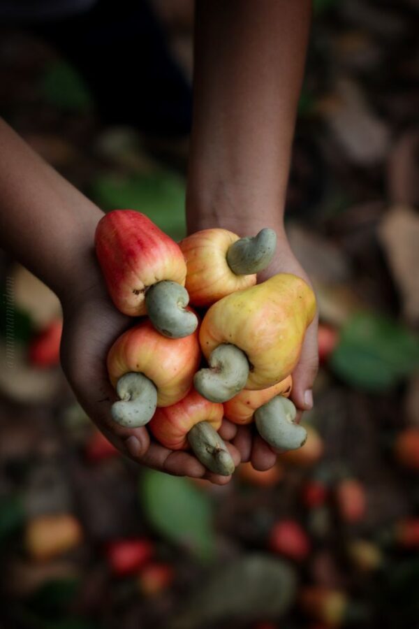 Brham Cashew Nuts: Zinc, Zing & Zest - Image 4